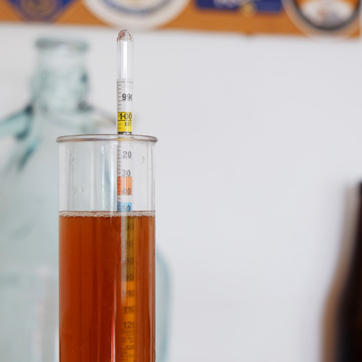 hydrometer in beer